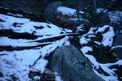 DSC_5235 (Large).JPG